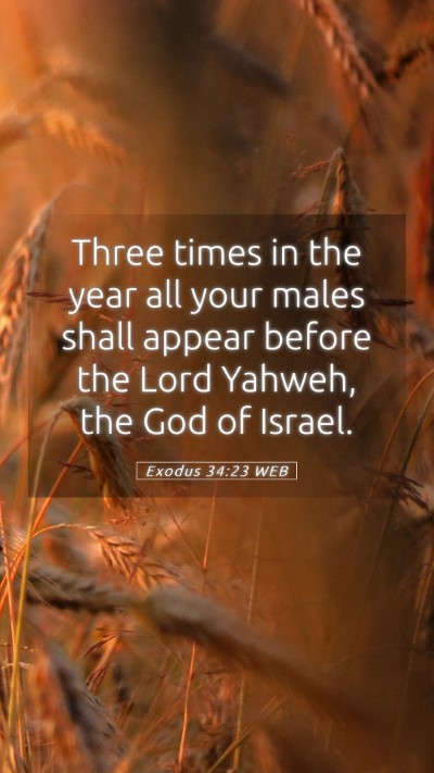 Picture 05 - Exodus 34:23 WEB Mobile Phone Wallpaper - Three times in the year all your males shall - Mobile Bible Verse Wallpaper