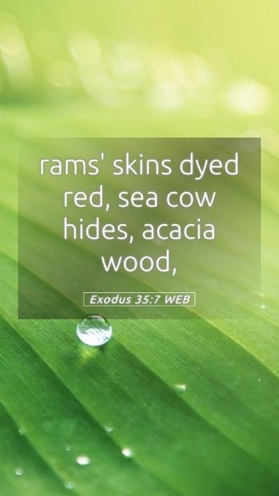 Picture 05 - Exodus 35:7 WEB Mobile Phone Wallpaper - rams' skins dyed red, sea cow hides, acacia - Mobile Bible Verse Wallpaper