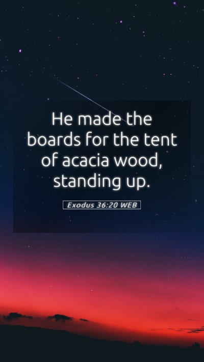 Picture 05 - Exodus 36:20 WEB Mobile Phone Wallpaper - He made the boards for the tent of acacia wood, - Mobile Bible Verse Wallpaper