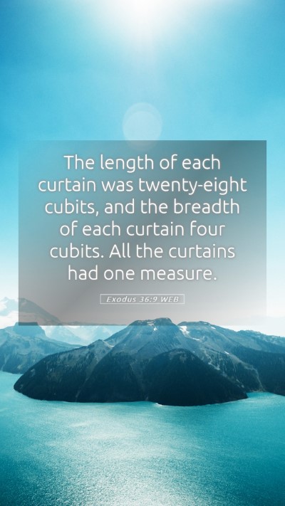Picture 05 - Exodus 36:9 WEB Mobile Phone Wallpaper - The length of each curtain was twenty-eight - Mobile Bible Verse Wallpaper