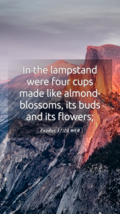 Picture 05 - Exodus 37:20 WEB Mobile Phone Wallpaper - In the lampstand were four cups made like - Mobile Bible Verse Wallpaper