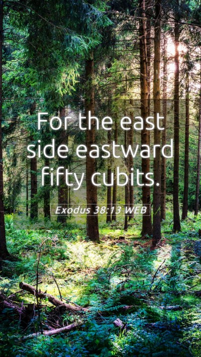 Picture 05 - Exodus 38:13 WEB Mobile Phone Wallpaper - For the east side eastward fifty - Mobile Bible Verse Wallpaper