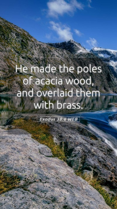 Picture 05 - Exodus 38:6 WEB Mobile Phone Wallpaper - He made the poles of acacia wood, and overlaid - Mobile Bible Verse Wallpaper