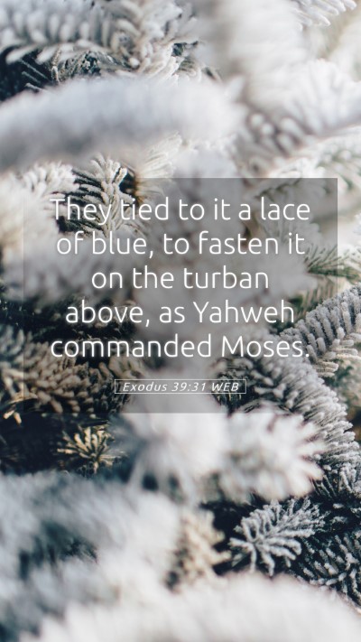 Picture 05 - Exodus 39:31 WEB Mobile Phone Wallpaper - They tied to it a lace of blue, to fasten it on - Mobile Bible Verse Wallpaper