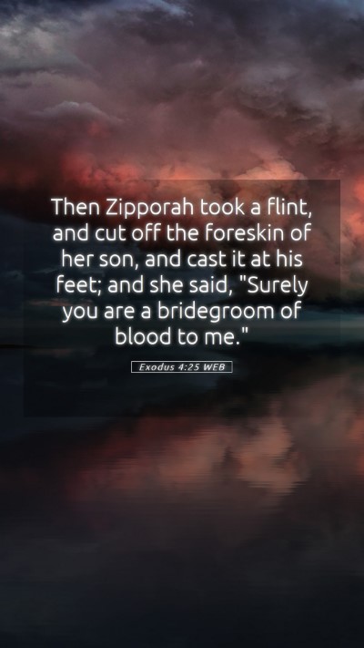 Picture 05 - Exodus 4:25 WEB Mobile Phone Wallpaper - Then Zipporah took a flint, and cut off the - Mobile Bible Verse Wallpaper