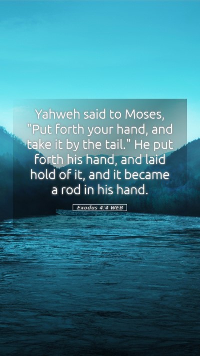 Picture 05 - Exodus 4:4 WEB Mobile Phone Wallpaper - Yahweh said to Moses, 