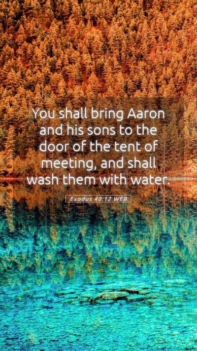 Picture 05 - Exodus 40:12 WEB Mobile Phone Wallpaper - You shall bring Aaron and his sons to the door of - Mobile Bible Verse Wallpaper