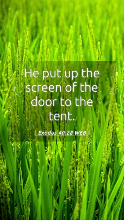 Picture 05 - Exodus 40:28 WEB Mobile Phone Wallpaper - He put up the screen of the door to the - Mobile Bible Verse Wallpaper
