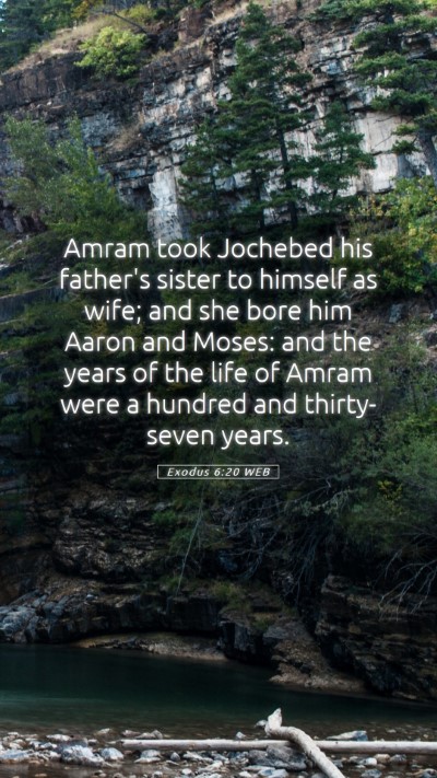 Picture 05 - Exodus 6:20 WEB Mobile Phone Wallpaper - Amram took Jochebed his father's sister to - Mobile Bible Verse Wallpaper