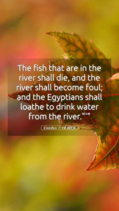 Picture 05 - Exodus 7:18 WEB Mobile Phone Wallpaper - The fish that are in the river shall die, and the - Mobile Bible Verse Wallpaper