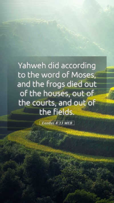 Picture 05 - Exodus 8:13 WEB Mobile Phone Wallpaper - Yahweh did according to the word of Moses, and - Mobile Bible Verse Wallpaper