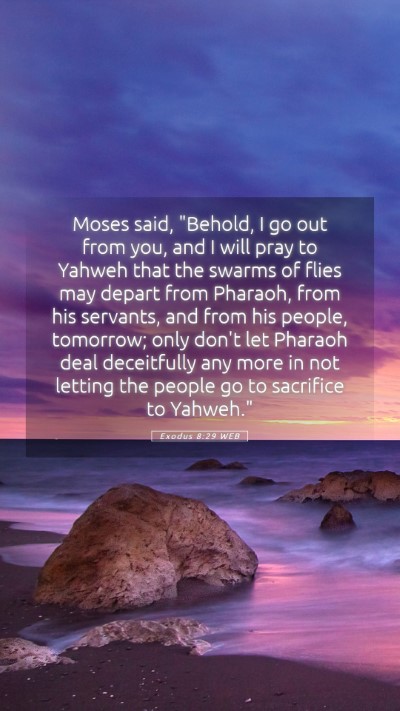 Picture 05 - Exodus 8:29 WEB Mobile Phone Wallpaper - Moses said, 