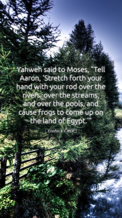 Picture 05 - Exodus 8:5 WEB Mobile Phone Wallpaper - Yahweh said to Moses, 