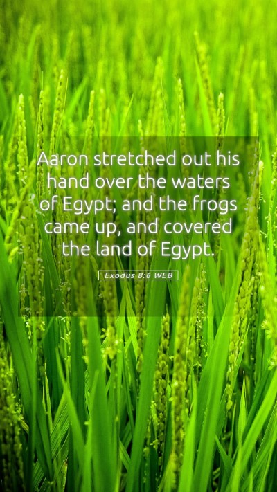 Picture 05 - Exodus 8:6 WEB Mobile Phone Wallpaper - Aaron stretched out his hand over the waters of - Mobile Bible Verse Wallpaper