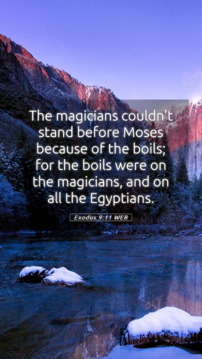 Picture 05 - Exodus 9:11 WEB Mobile Phone Wallpaper - The magicians couldn't stand before Moses because - Mobile Bible Verse Wallpaper