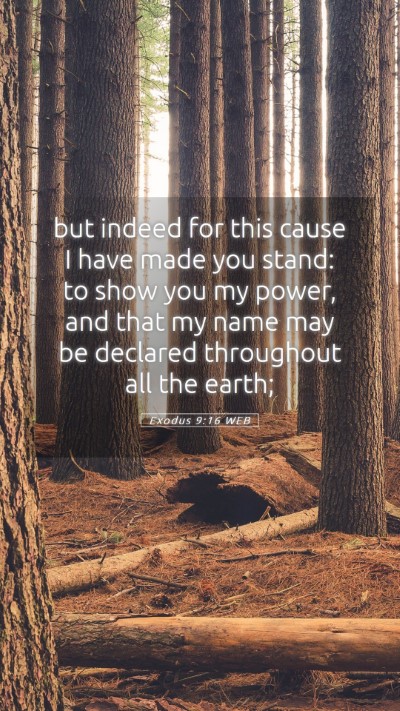 Picture 05 - Exodus 9:16 WEB Mobile Phone Wallpaper - but indeed for this cause I have made you stand: - Mobile Bible Verse Wallpaper