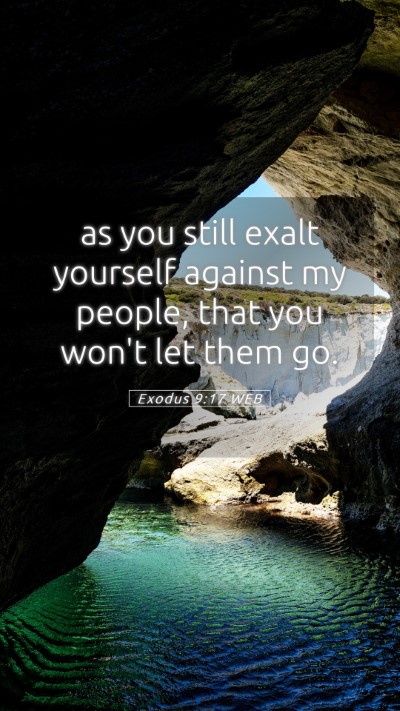 Picture 05 - Exodus 9:17 WEB Mobile Phone Wallpaper - as you still exalt yourself against my people, - Mobile Bible Verse Wallpaper