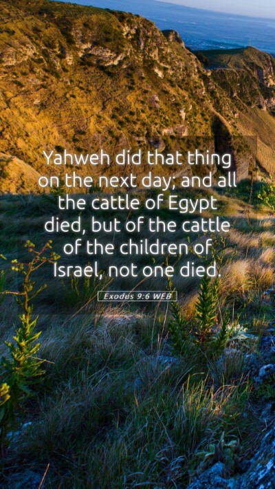 Picture 05 - Exodus 9:6 WEB Mobile Phone Wallpaper - Yahweh did that thing on the next day; and all - Mobile Bible Verse Wallpaper