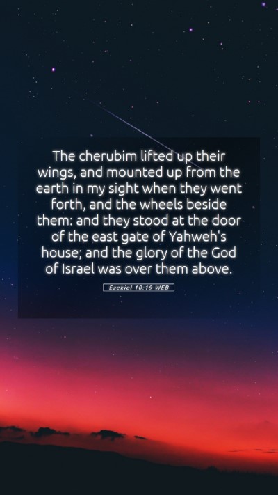Picture 05 - Ezekiel 10:19 WEB Mobile Phone Wallpaper - The cherubim lifted up their wings, and mounted - Mobile Bible Verse Wallpaper