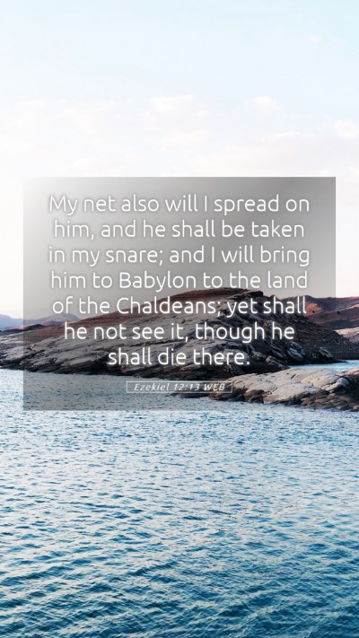 Picture 05 - Ezekiel 12:13 WEB Mobile Phone Wallpaper - My net also will I spread on him, and he shall be - Mobile Bible Verse Wallpaper