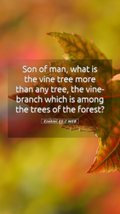 Picture 05 - Ezekiel 15:2 WEB Mobile Phone Wallpaper - Son of man, what is the vine tree more than any - Mobile Bible Verse Wallpaper