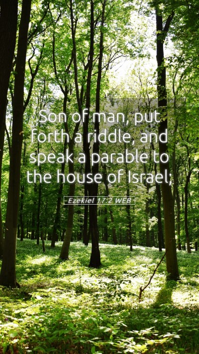Picture 05 - Ezekiel 17:2 WEB Mobile Phone Wallpaper - Son of man, put forth a riddle, and speak a - Mobile Bible Verse Wallpaper