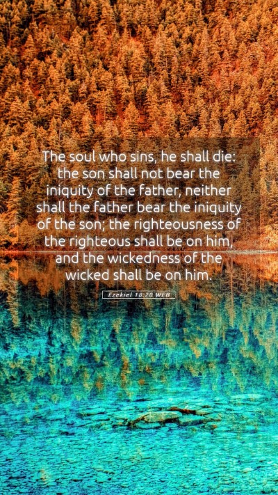 Picture 05 - Ezekiel 18:20 WEB Mobile Phone Wallpaper - The soul who sins, he shall die: the son shall - Mobile Bible Verse Wallpaper