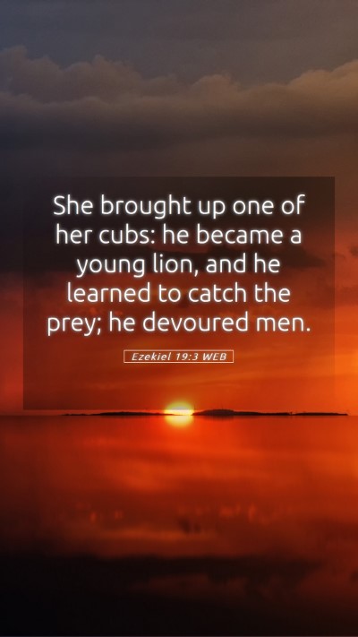 Picture 05 - Ezekiel 19:3 WEB Mobile Phone Wallpaper - She brought up one of her cubs: he became a young - Mobile Bible Verse Wallpaper