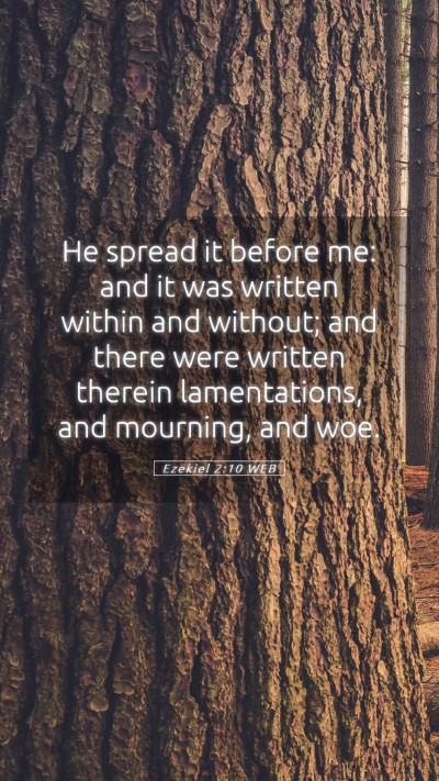 Picture 05 - Ezekiel 2:10 WEB Mobile Phone Wallpaper - He spread it before me: and it was written within - Mobile Bible Verse Wallpaper