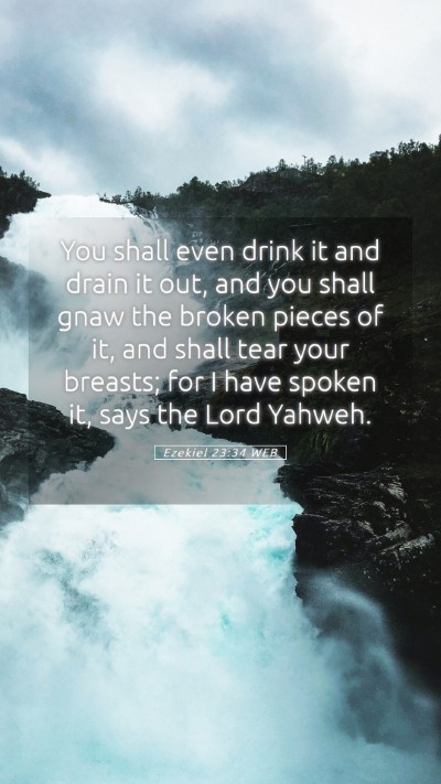 Picture 05 - Ezekiel 23:34 WEB Mobile Phone Wallpaper - You shall even drink it and drain it out, and you - Mobile Bible Verse Wallpaper