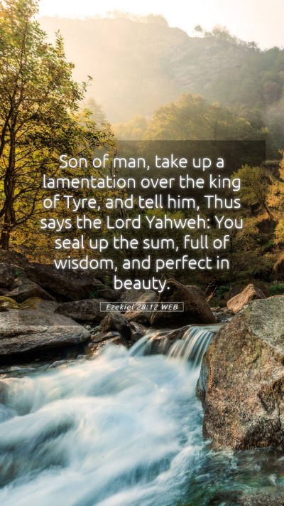 Picture 05 - Ezekiel 28:12 WEB Mobile Phone Wallpaper - Son of man, take up a lamentation over the king - Mobile Bible Verse Wallpaper