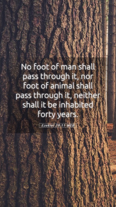 Picture 05 - Ezekiel 29:11 WEB Mobile Phone Wallpaper - No foot of man shall pass through it, nor foot of - Mobile Bible Verse Wallpaper