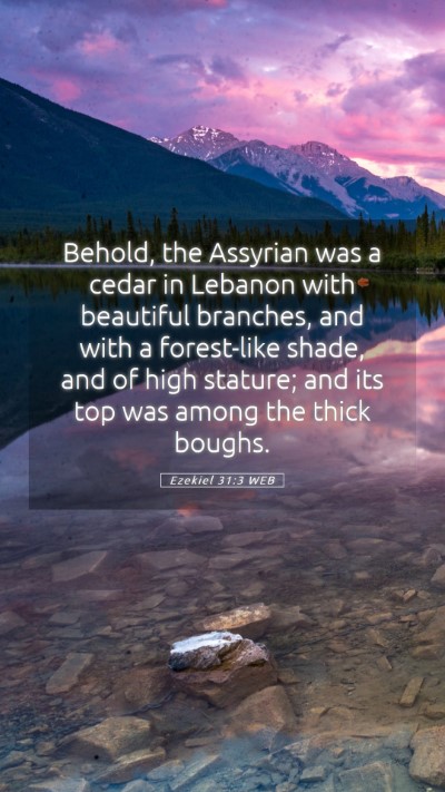 Picture 05 - Ezekiel 31:3 WEB Mobile Phone Wallpaper - Behold, the Assyrian was a cedar in Lebanon with - Mobile Bible Verse Wallpaper
