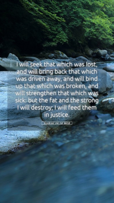 Picture 05 - Ezekiel 34:16 WEB Mobile Phone Wallpaper - I will seek that which was lost, and will bring - Mobile Bible Verse Wallpaper
