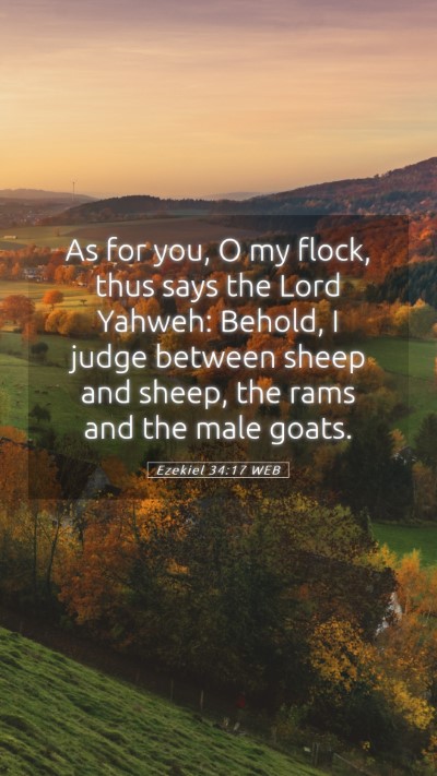 Picture 05 - Ezekiel 34:17 WEB Mobile Phone Wallpaper - As for you, O my flock, thus says the Lord - Mobile Bible Verse Wallpaper