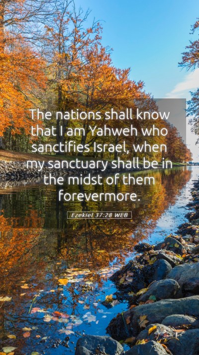Picture 05 - Ezekiel 37:28 WEB Mobile Phone Wallpaper - The nations shall know that I am Yahweh who - Mobile Bible Verse Wallpaper