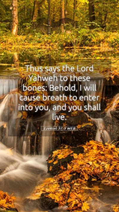 Picture 05 - Ezekiel 37:5 WEB Mobile Phone Wallpaper - Thus says the Lord Yahweh to these bones: Behold, - Mobile Bible Verse Wallpaper