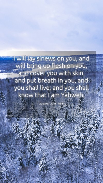 Picture 05 - Ezekiel 37:6 WEB Mobile Phone Wallpaper - I will lay sinews on you, and will bring up flesh - Mobile Bible Verse Wallpaper