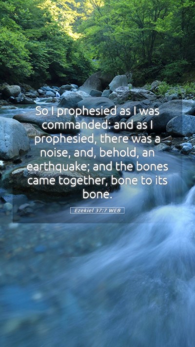 Picture 05 - Ezekiel 37:7 WEB Mobile Phone Wallpaper - So I prophesied as I was commanded: and as I - Mobile Bible Verse Wallpaper