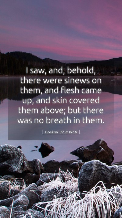 Picture 05 - Ezekiel 37:8 WEB Mobile Phone Wallpaper - I saw, and, behold, there were sinews on them, - Mobile Bible Verse Wallpaper