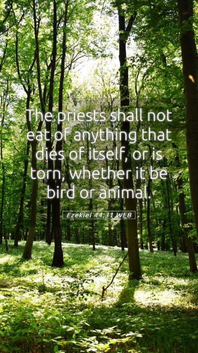 Picture 05 - Ezekiel 44:31 WEB Mobile Phone Wallpaper - The priests shall not eat of anything that dies - Mobile Bible Verse Wallpaper