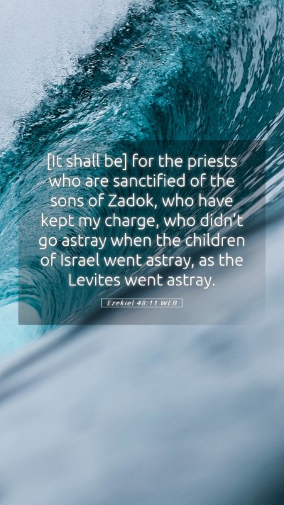 Picture 05 - Ezekiel 48:11 WEB Mobile Phone Wallpaper - [It shall be] for the priests who are sanctified - Mobile Bible Verse Wallpaper