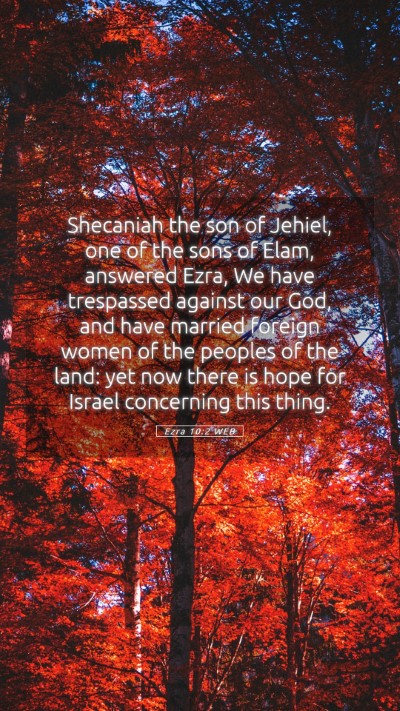 Picture 05 - Ezra 10:2 WEB Mobile Phone Wallpaper - Shecaniah the son of Jehiel, one of the sons of - Mobile Bible Verse Wallpaper