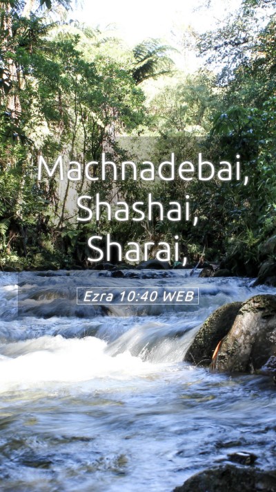 Picture 05 - Ezra 10:40 WEB Mobile Phone Wallpaper - Machnadebai, Shashai, - Mobile Bible Verse Wallpaper