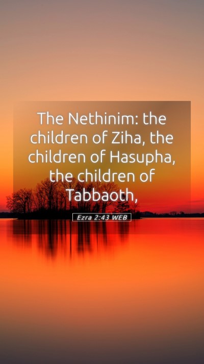 Picture 05 - Ezra 2:43 WEB Mobile Phone Wallpaper - The Nethinim: the children of Ziha, the children - Mobile Bible Verse Wallpaper