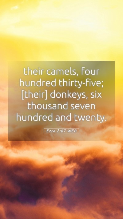 Picture 05 - Ezra 2:67 WEB Mobile Phone Wallpaper - their camels, four hundred thirty-five; [their] - Mobile Bible Verse Wallpaper