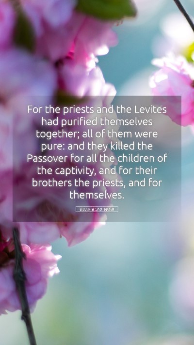 Picture 05 - Ezra 6:20 WEB Mobile Phone Wallpaper - For the priests and the Levites had purified - Mobile Bible Verse Wallpaper