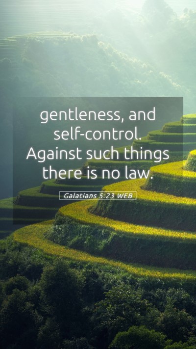 Picture 05 - Galatians 5:23 WEB Mobile Phone Wallpaper - gentleness, and self-control. Against such things - Mobile Bible Verse Wallpaper