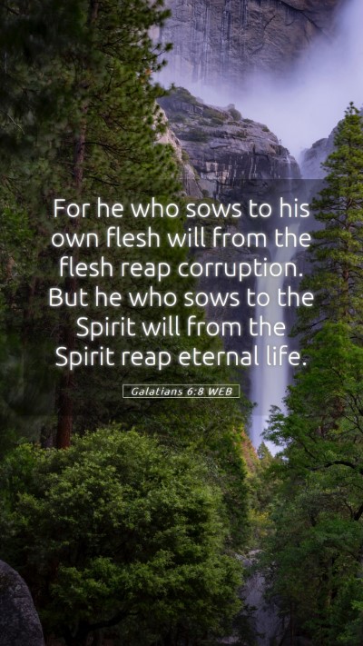 Picture 05 - Galatians 6:8 WEB Mobile Phone Wallpaper - For he who sows to his own flesh will from the - Mobile Bible Verse Wallpaper