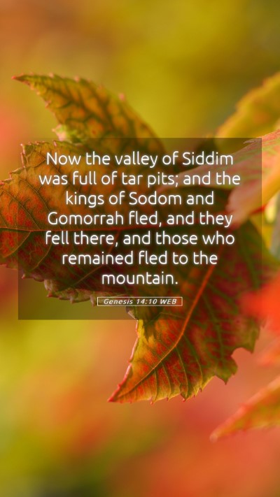 Picture 05 - Genesis 14:10 WEB Mobile Phone Wallpaper - Now the valley of Siddim was full of tar pits; - Mobile Bible Verse Wallpaper